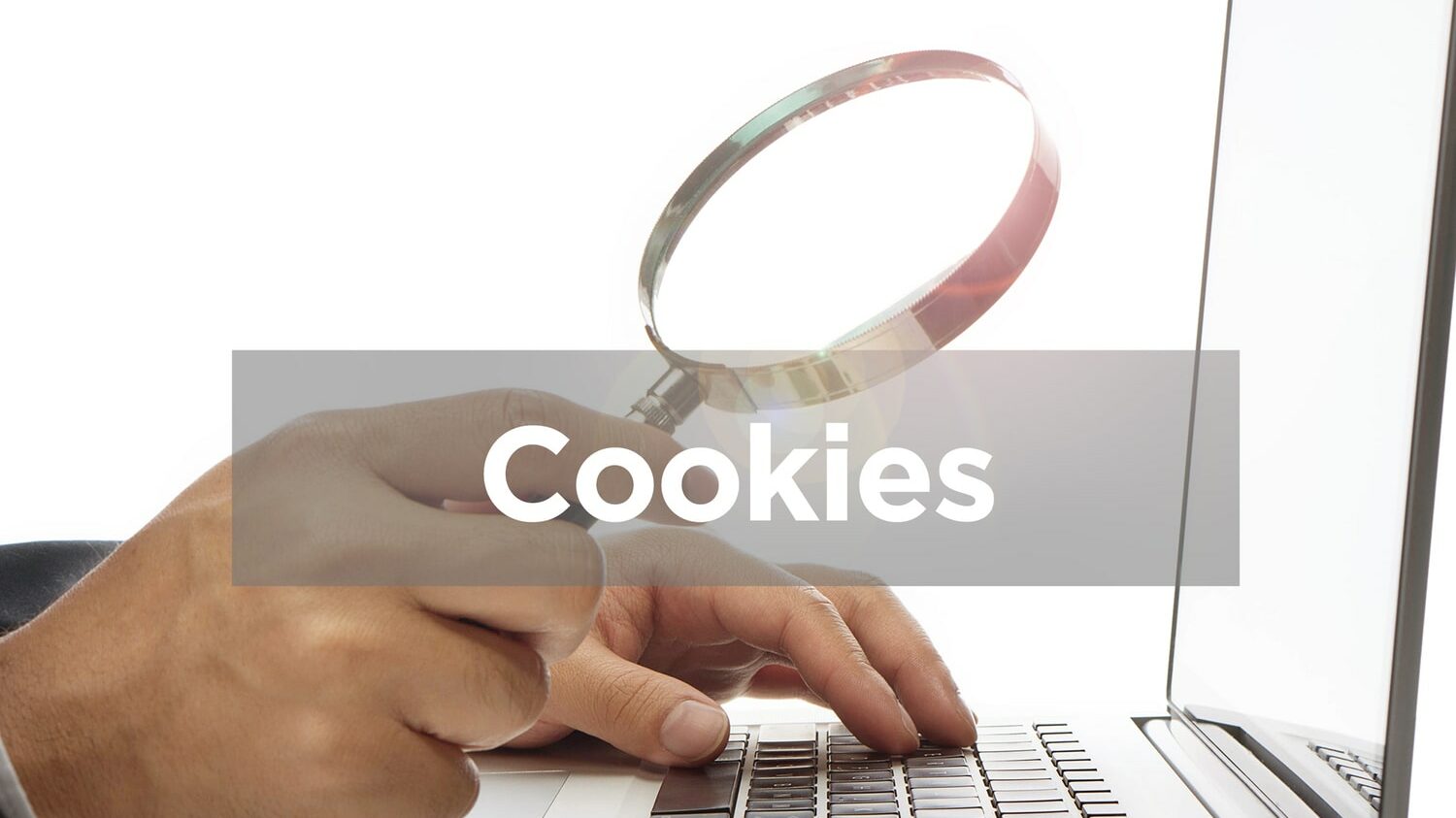 What Are Cookies and How to Test Them?